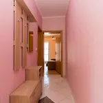 Apartment Mila