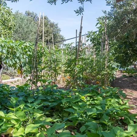 Apartamento Mila Dolac