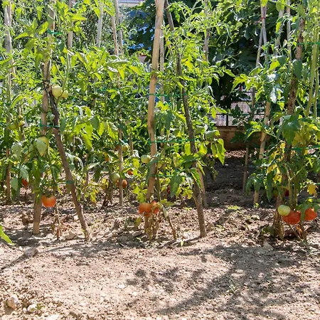 Mila Lägenhet Dolac